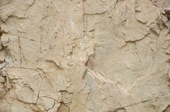 石纹