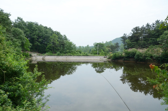 水库