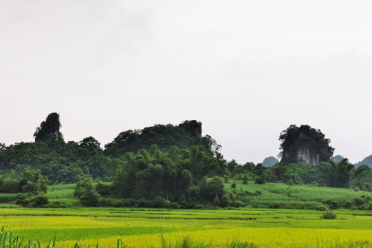 山区田野