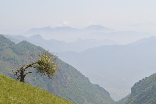 山峦