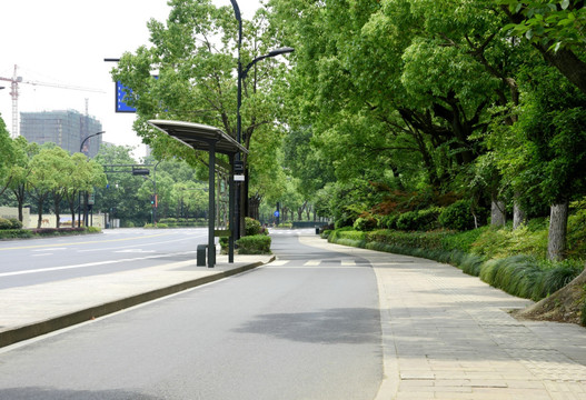 道路街景杭州