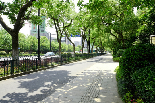 城市绿化道路街景人行道