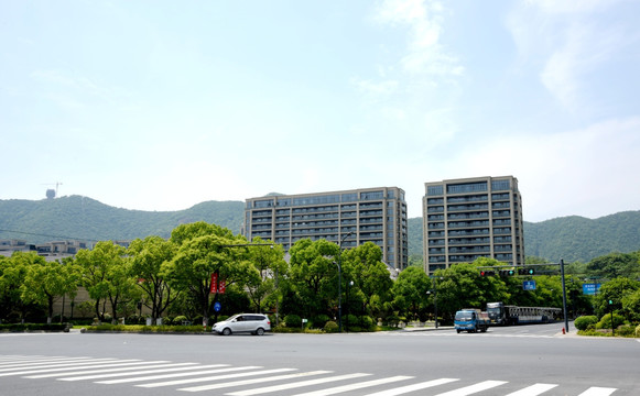 田园牧歌城市道路绿化街景杭州