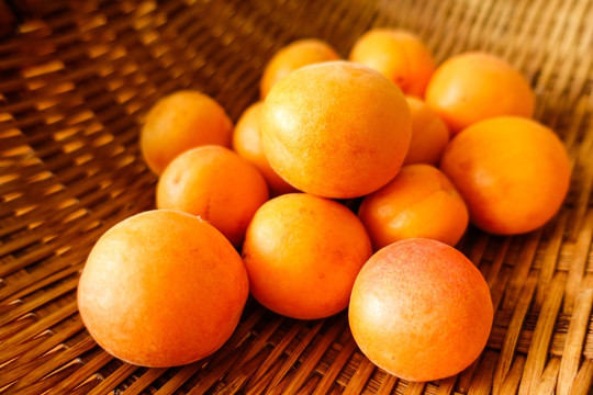 生态甜杏