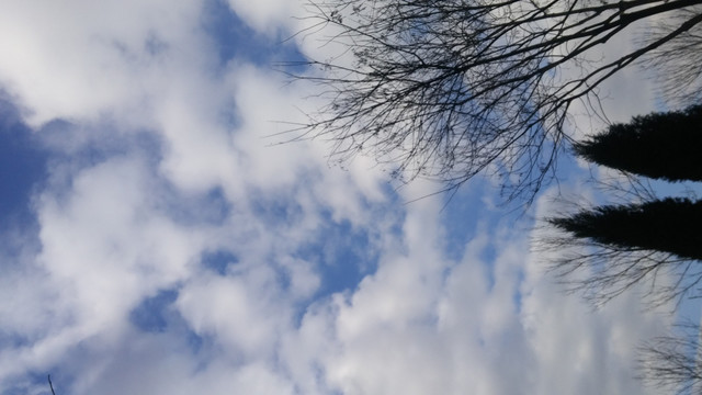 蓝天