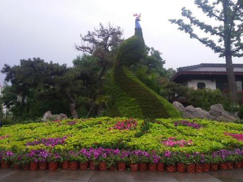 公园花艺