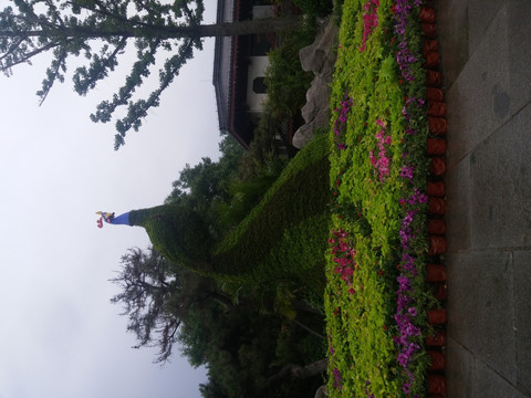 花艺
