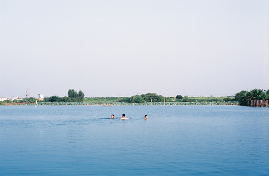 鹤山古劳水乡