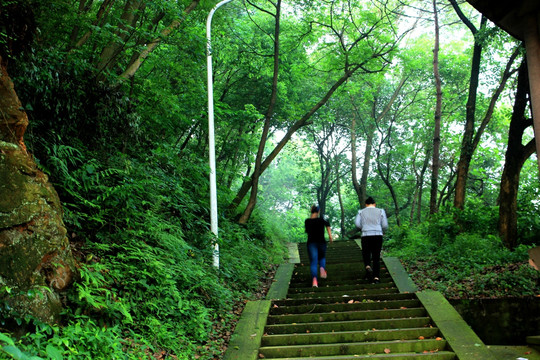 台州温岭牧屿白云山风光