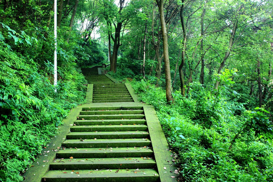 台州温岭牧屿白云山风光