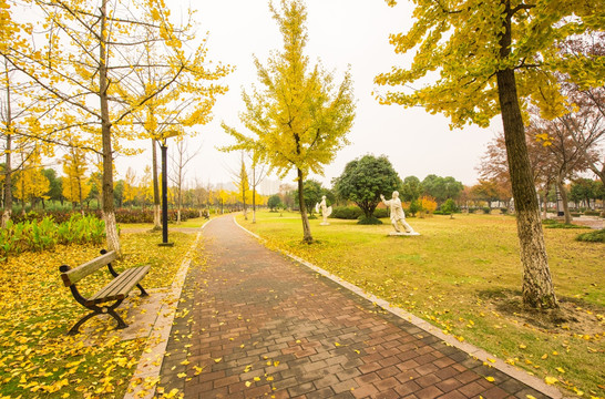 公园落叶秋色