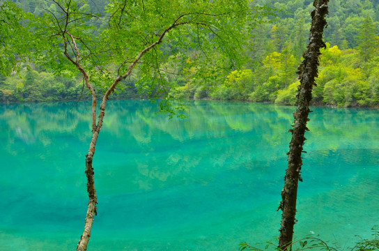 九寨沟风光 九寨沟湖面