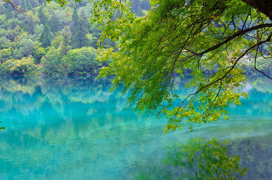 九寨沟风光 九寨沟湖面