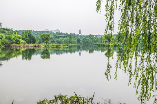 白鹭湾湿地公园