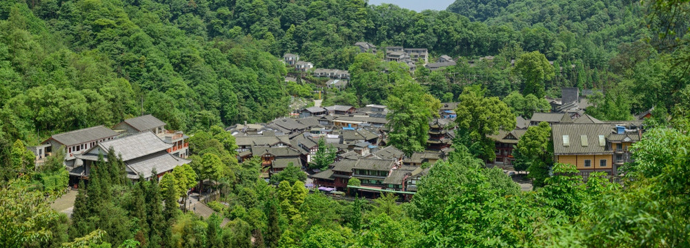 青城后山泰安古镇全景图