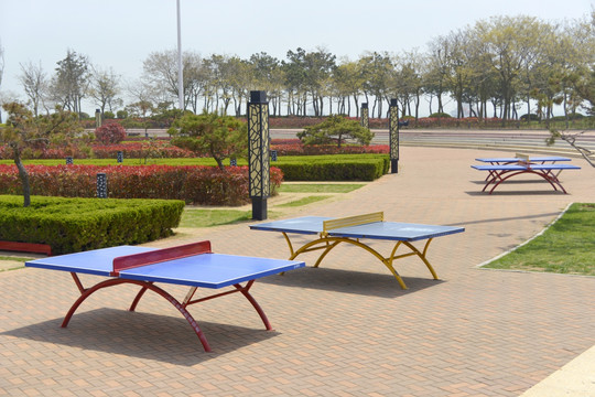 公园健身场所 乒乓球桌