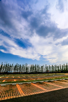 露天停车场