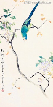 花鸟国画 画廊高清品质