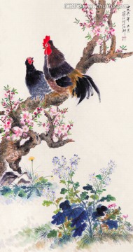 花鸟国画 画廊高清品质