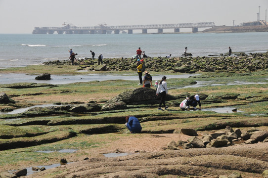 日照灯塔广场滨海风景区