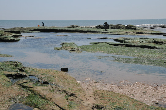 日照灯塔广场滨海风景区