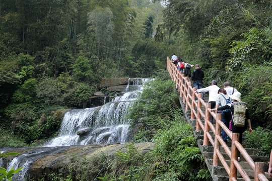 山道 山路