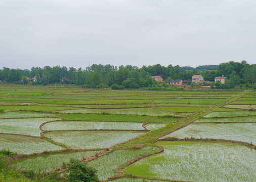 长江中下游平原