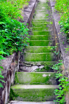 春天 绿色 阶梯 台阶
