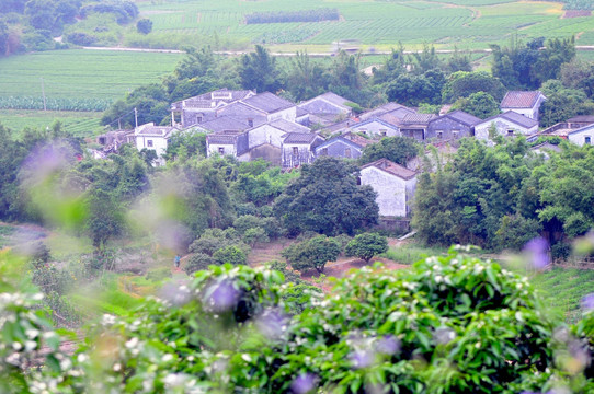 广东民居 老屋 巷道 广东古村