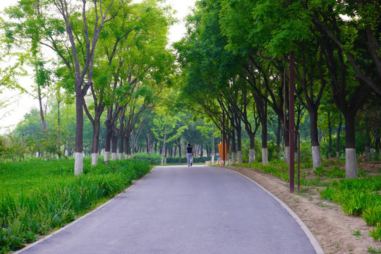 公园