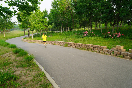 公园