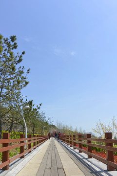 城市健身道 青岛滨海旅游步行道