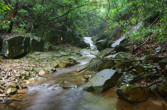 山泉 溪流