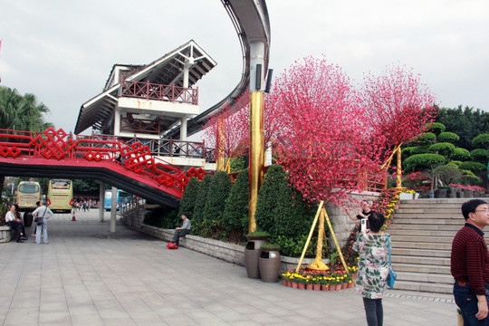 深圳街景