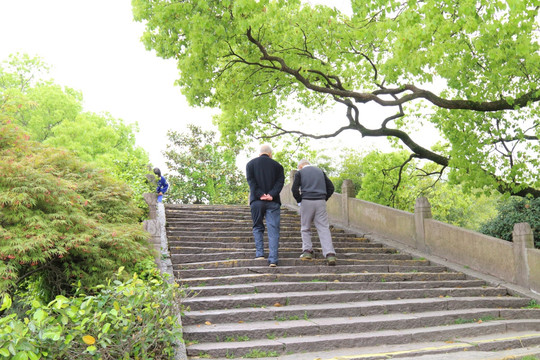 老人牵手过桥