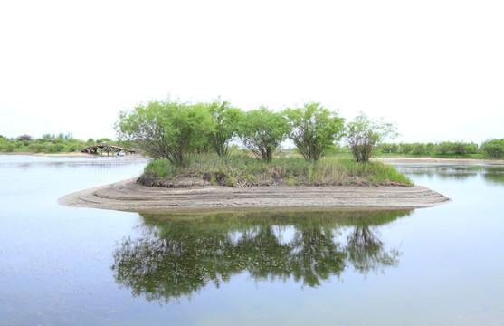 小岛