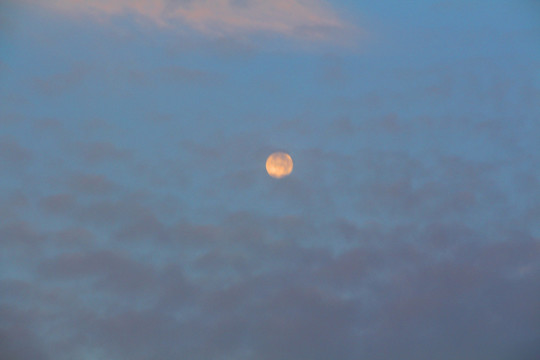 清晨的月亮
