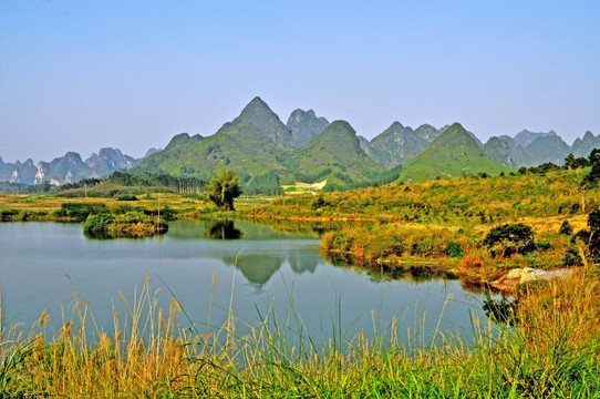 金莲湖 湖泊 上林