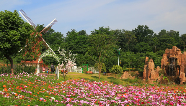 格桑花 婚纱外景地