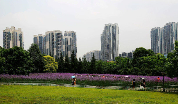 重庆 师范大学