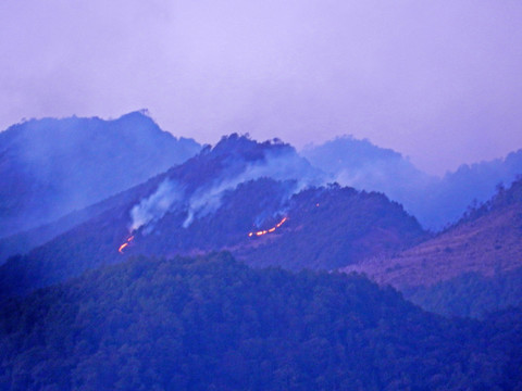 山火