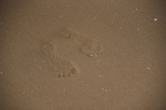 沙滩脚丫