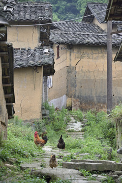 鼓鸣寨