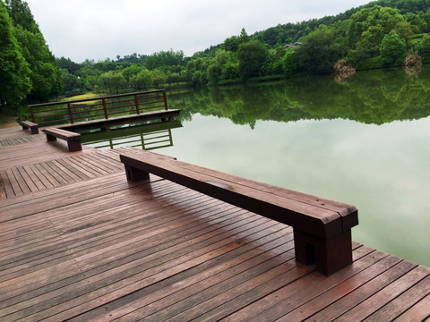 湿地公园