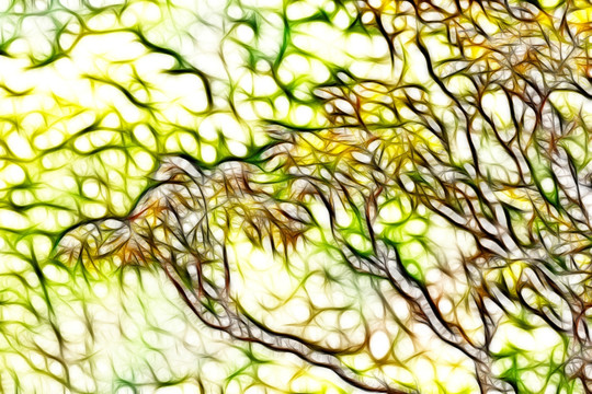 香椿树芽抽象画