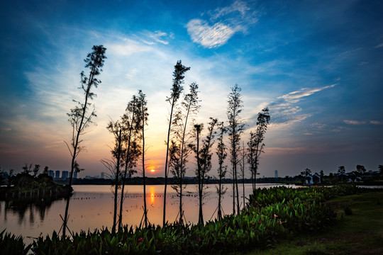 湖泊 湿地