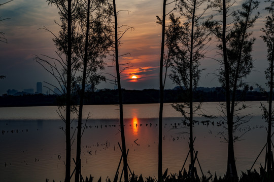 湖泊 湿地