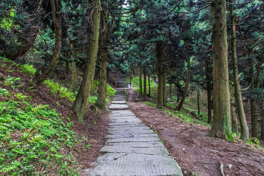 山间小路