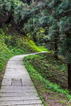 山间小路