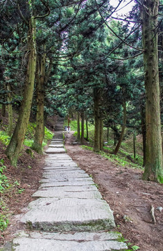 山间小路